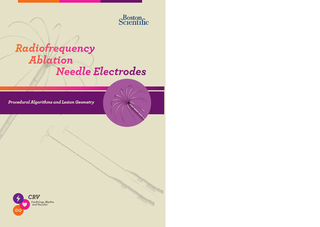 RF Ablation Needle Electrodes Proceedural Algorithms and Lesions Geometry Guide