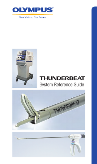 THUNDERBEAT System Reference Guide