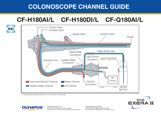 COLONOSCOPE CHANNEL GUIDE CF-H180AI/L  CF-H180DI/L  CF-Q180AI/L  Suction Valve Air/Water Valve Insertion Tube  Biopsy Valve  Nozzle  Water Bottle Connection Universal Cord  Auxiliary Water Connection  Instrument/Suction Channel  Water Channel  Auxiliary Water Channel  Air Channel  Water Bottle Tube Light Source Connector LIGHT SOURCE  Suction Connection  Air Pump WATER BOTTLE  For complete product details see Instructions for Use. | QR 07.322 V1.0 January 2020  OLYMPUS AUSTRALIA PTY LTD  OLYMPUS NEW ZEALAND LIMITED  3 Acacia Place, Notting Hill VIC 3168, Australia Customer Service: 1300 132 992 | www.olympusaustralia.com.au  28 Corinthian Drive, Albany, Auckland NZ 0632 Customer Service: 0508 659 6787 | www.olympus.co.nz  