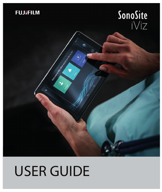 iViz User Guide Dec 2020 