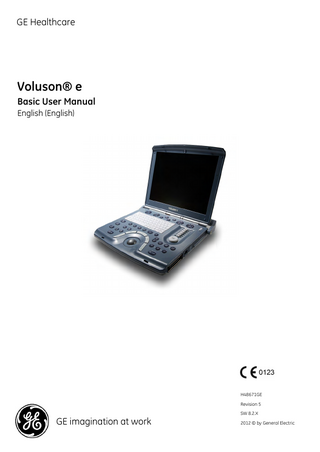 Voluson e Basic User Manual Rev 5 SW 8.2X Nov 2012
