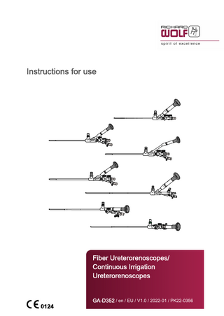 Ureterorenoscope Series Instructions for Use V1.0 Jan 2022