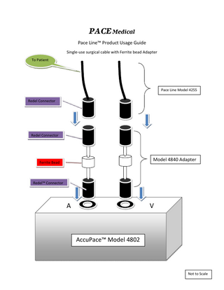 PACE Medical Pace Line™ Product Usage Guide Single-use surgical cable with Ferrite bead Adapter To Patient  Pace Line Model 4255 Redel Connector  Redel Connector  Model 4840 Adapter  Ferrite Bead  Redel™ Connector  A  V  AccuPace™ Model 4802  Not to Scale  