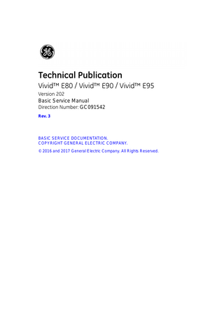 Vivid E80 E90 E95 Basic Service Manual Ver 202 Rev 3
